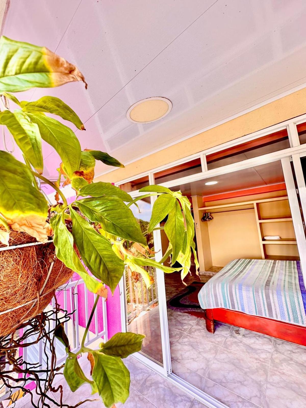 Posada Seven Colours Ocean Providencia  Extérieur photo